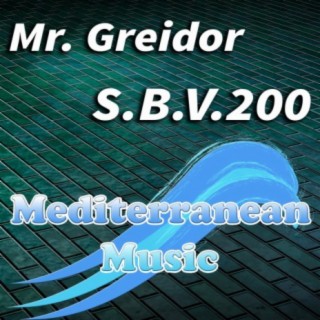 S.B.V.200 (Electroliftclub Mix)