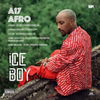 A17 Afro