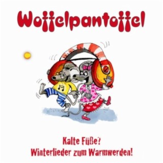 Woffelpantoffel