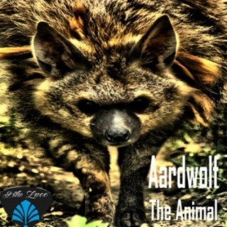 Aardwolf