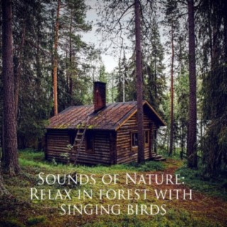 Sounds of Nature: Relax in Forest With Singing Birds