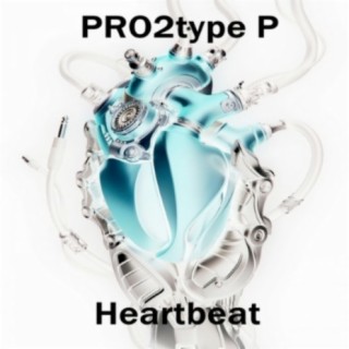 Pro2type P