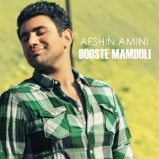 Afshin Amini