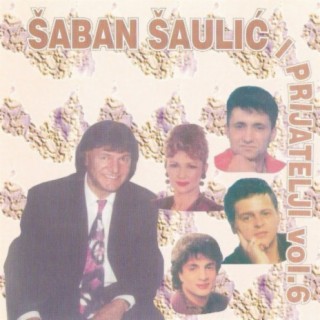 Saban Saulic i Prijatelji vol. 6