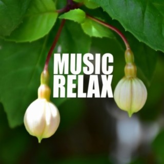 Music Relax