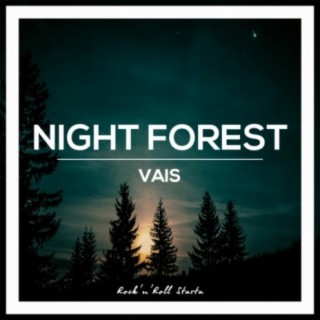 Night Forest