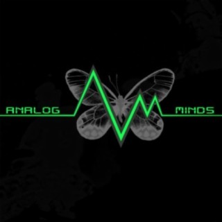Analog Minds