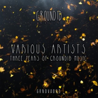 Three Years Of Groundid Music