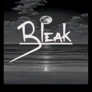 Bleak (Instrumental)
