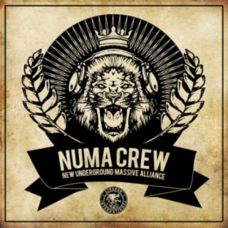 Numa Crew