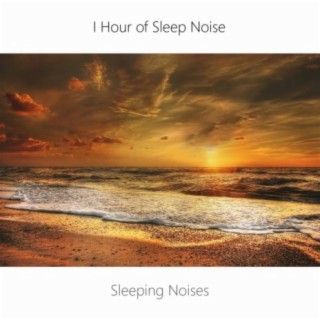 1 Hour Sleep Noise Loop. Sea, Wind and Brown Noise Sleep. Sleeping Music.
