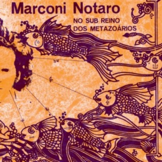 Marconi Notaro