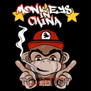 Monkeys in China