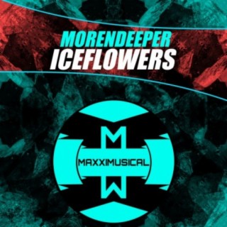 Iceflowers