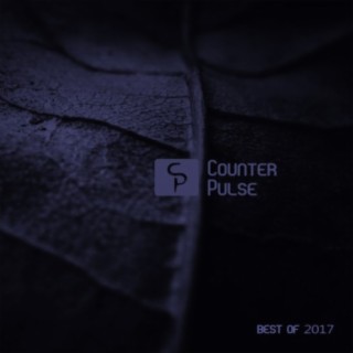 Counter Pulse: Best of 2017