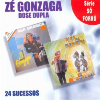Zé Gonzaga
