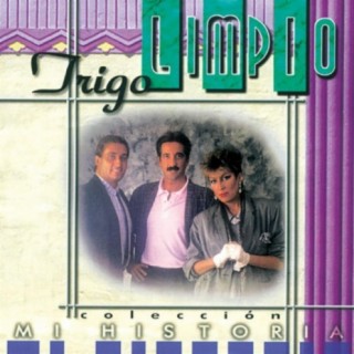 Trigo Limpio