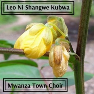 Leo Ni Shangwe Kubwa