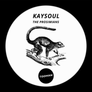 Kaysoul