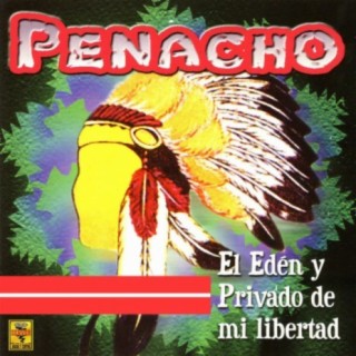 Penacho