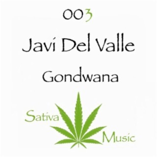 Javi Del Valle