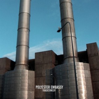 Polyester Embassy