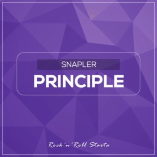 Principle