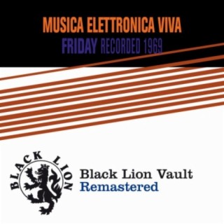 Musica Elettronica Viva