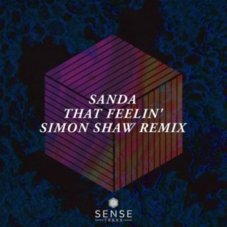 That Feelin' (Simon Shaw Remix)