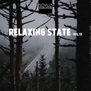 Relaxing State, Vol. 13