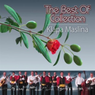 Klapa Maslina