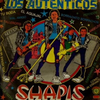 Los Shapis