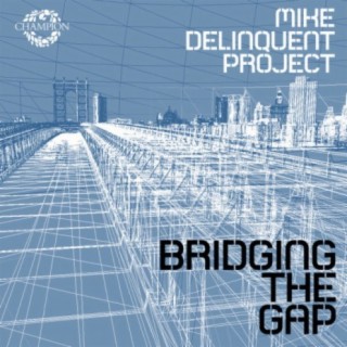Mike Delinquent Project
