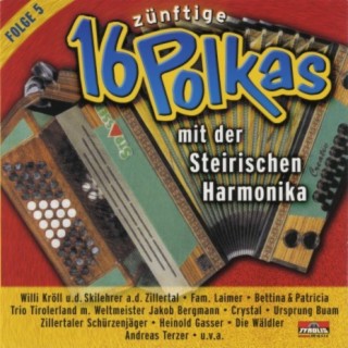 16 zünftige Polkas mit der Steirischen Harmonika Folge 5