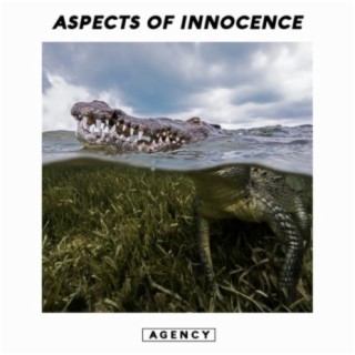 Aspects of Innocence