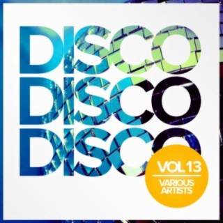 Disco Disco Disco, Vol.13