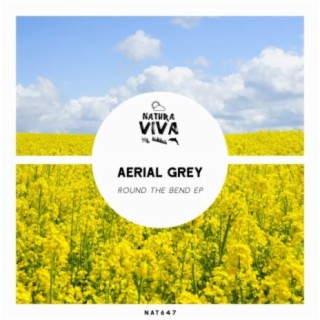 Aerial Grey