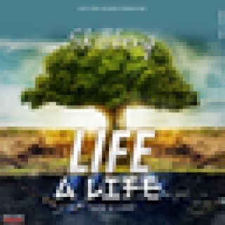 Life A Life lyrics | Boomplay Music