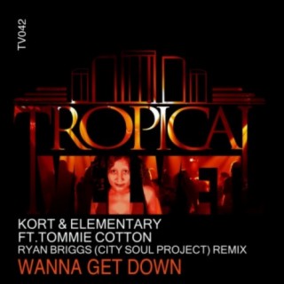 Wanna Get Down (Ryan Briggs (City Soul Project) Remix)