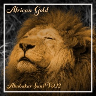 African Gold - Abubakar Sani Vol, 12