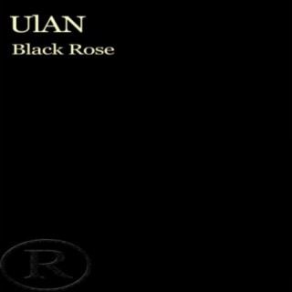 Black Rose