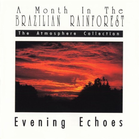 Evening Echoes | Boomplay Music