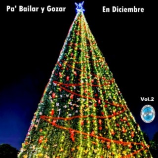 Pa' Bailar y Gozar en Diciembre, Vol. 2