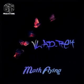Moth Flying