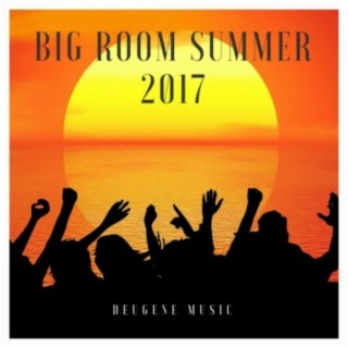Big Room Summer 2017