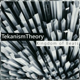 TekanismTheory