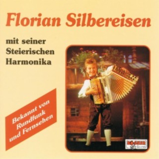 Florian Silbereisen mit seiner Steirischen Harmonika