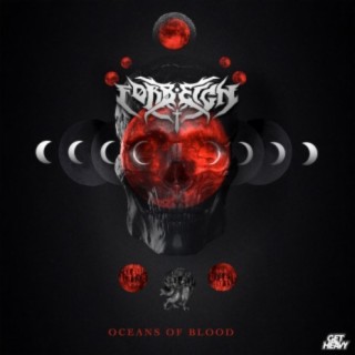 Oceans Of Blood