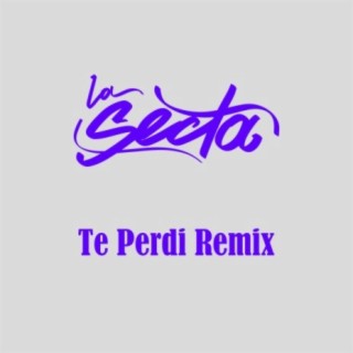 Te Perdi (Remix)