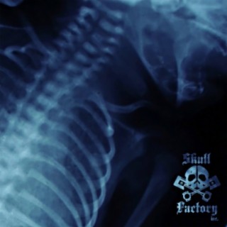 Skull Factoy Inc.